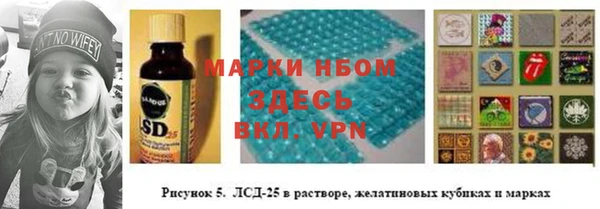 СК Алексин