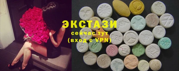 СК Алексин