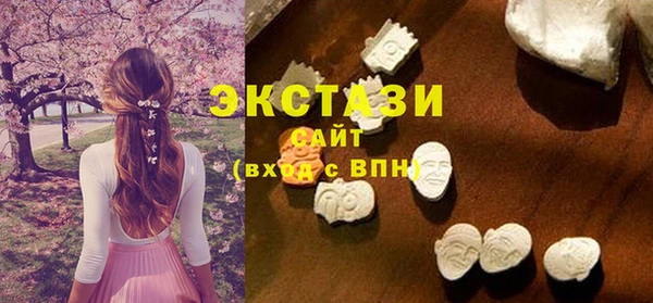 СК Алексин