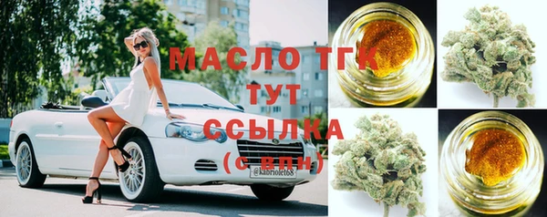 СК Алексин