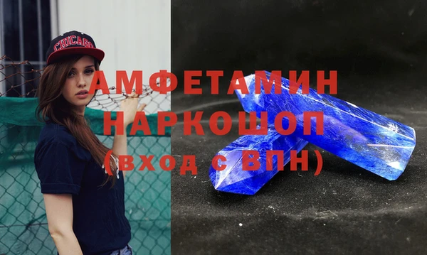 СК Алексин