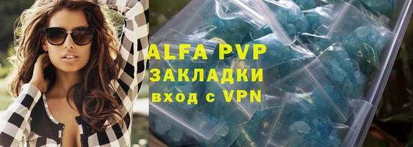 СК Алексин